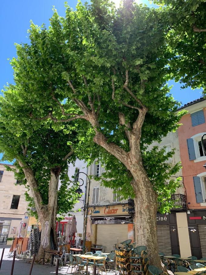 Ferienwohnung Fleurs De Provence LʼIsle-sur-la-Sorgue Exterior foto