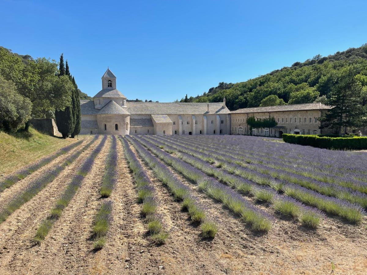 Ferienwohnung Fleurs De Provence LʼIsle-sur-la-Sorgue Exterior foto