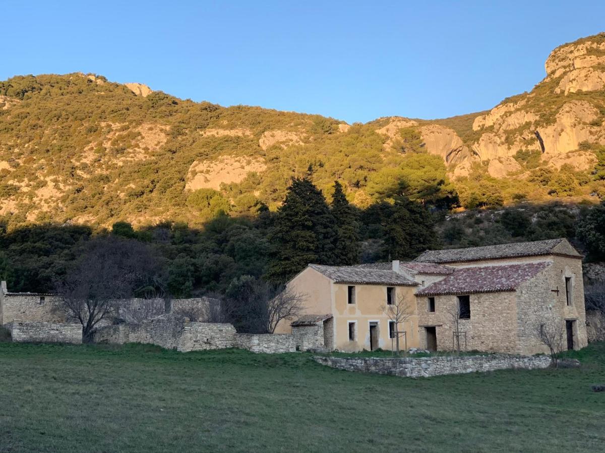 Ferienwohnung Fleurs De Provence LʼIsle-sur-la-Sorgue Exterior foto